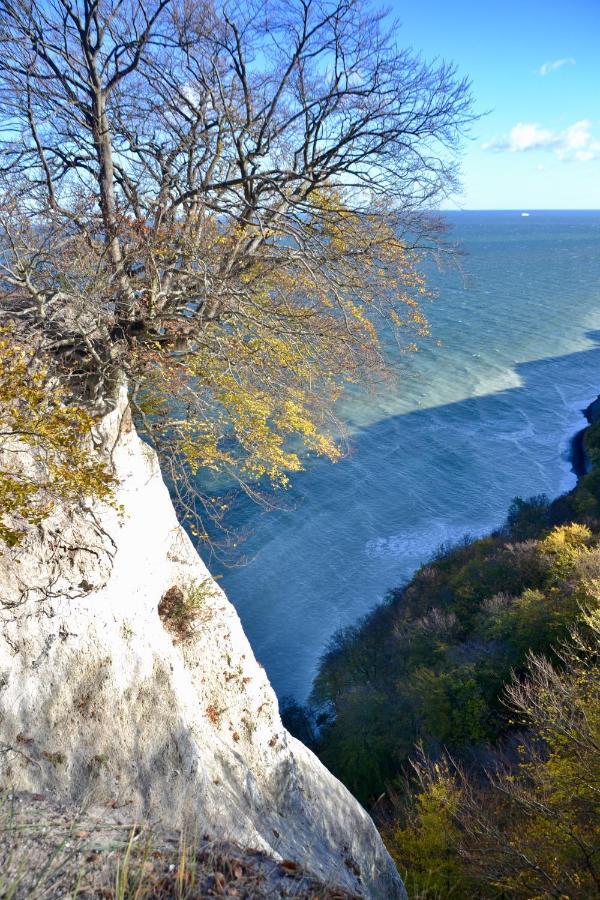 Meerforelle 207 - Seeblick Sassnitz