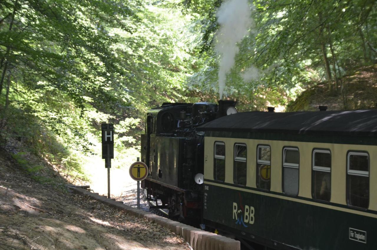 Meerforelle 207 - Seeblick *