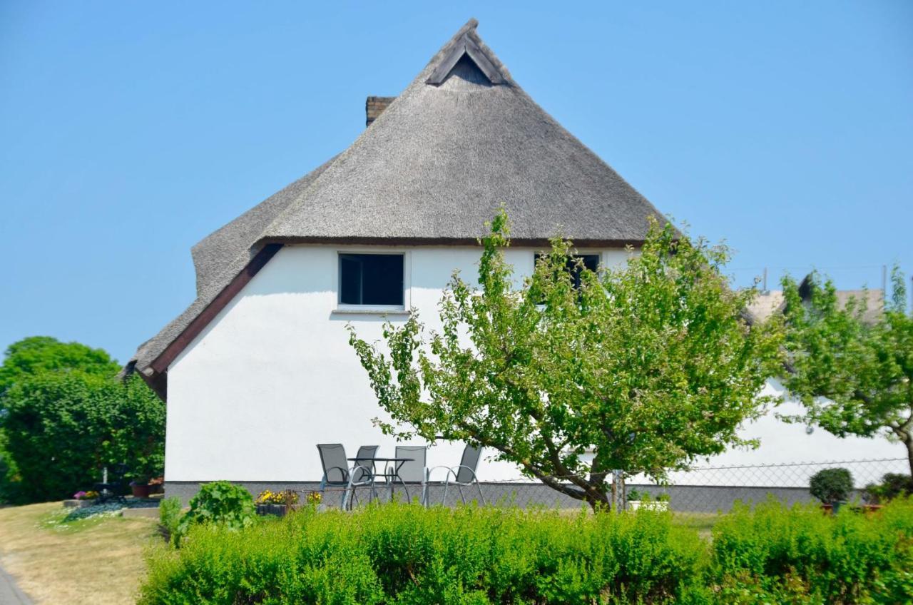 Meerforelle 207 - Seeblick *